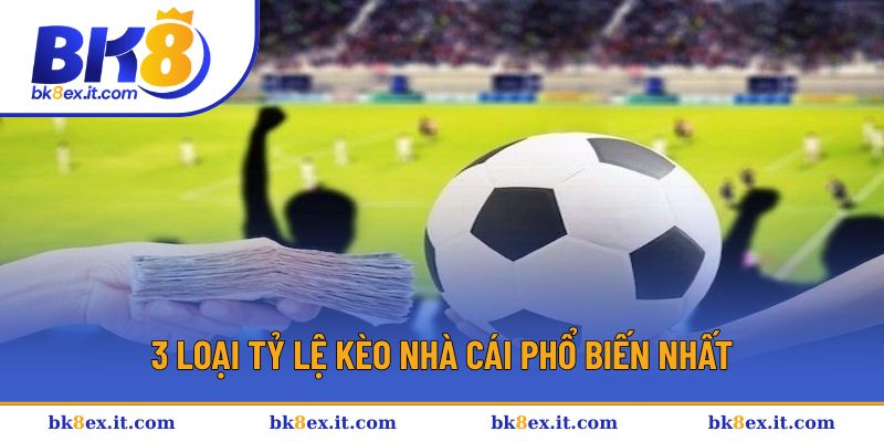 Tỷ Lệ Cá Cược Kèo Nhà Cái - Tổng Hợp Dạng Được Ưa Chuộng 2 3 loại tỷ lệ kèo nhà cái phổ biến nhất