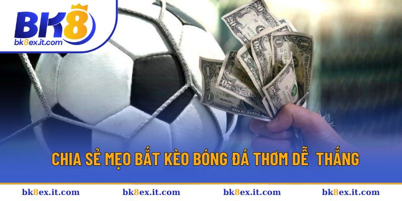 Bí kíp chơi kèo bóng đá thơm thành công Bí kíp chơi kèo bóng đá thơm thành công