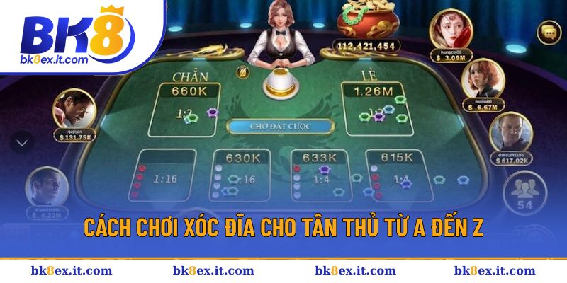 Cách chơi xóc đĩa cho tân thủ từ A đến Z Cách chơi xóc đĩa cho tân thủ từ A đến Z