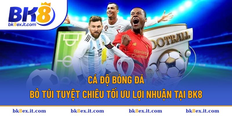 Cá Độ Bóng Đá - Bỏ Túi Tuyệt Chiêu Tối Ưu Lợi Nhuận Tại BK8 1 Cá độ bóng đá