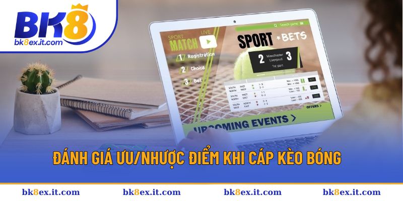 Lợi ích và rủi ro khi chơi cáp kèo Lợi ích và rủi ro khi chơi cáp kèo