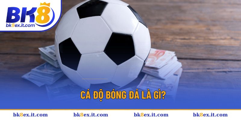 Khám phá định nghĩa cá độ bóng đá Khám phá định nghĩa cá độ bóng đá