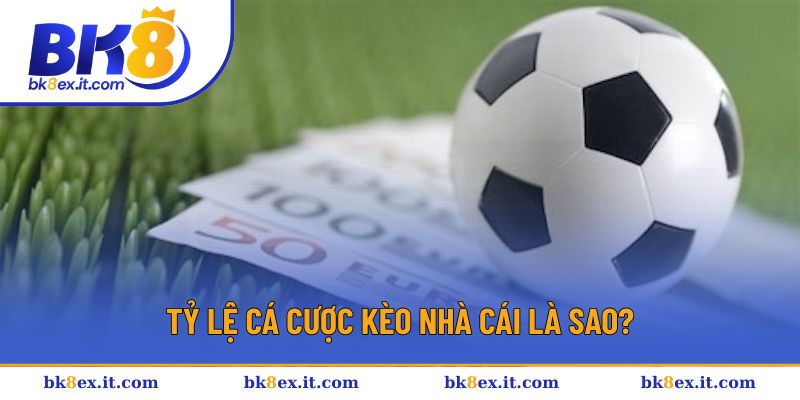 Tỷ lệ cá cược kèo nhà cái là sao? Tỷ lệ cá cược kèo nhà cái là sao?