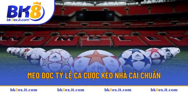 Mẹo đọc tỷ lệ cá cược kèo nhà cái chuẩn Mẹo đọc tỷ lệ cá cược kèo nhà cái chuẩn