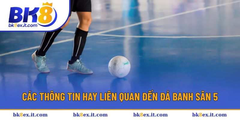 Các thông tin hay liên quan đến đá banh sân 5 Các thông tin hay liên quan đến đá banh sân 5