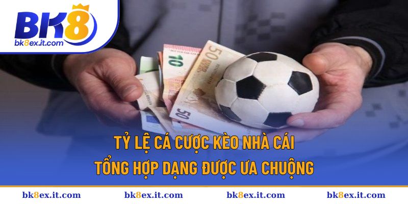 Tỷ Lệ Cá Cược Kèo Nhà Cái - Tổng Hợp Dạng Được Ưa Chuộng 1 Tỷ lệ cá cược kèo nhà cái