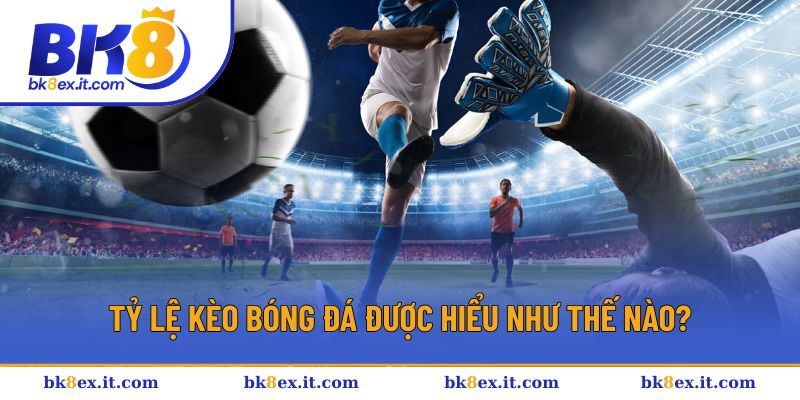 Tổng quan về tỷ lệ kèo bóng đá BK8 Tổng quan về tỷ lệ kèo bóng đá BK8