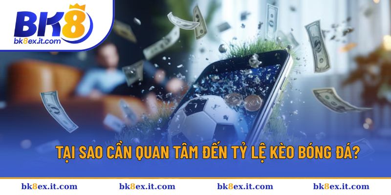 Quan tâm đến tỷ lệ kèo để chiến thắng Quan tâm đến tỷ lệ kèo để chiến thắng